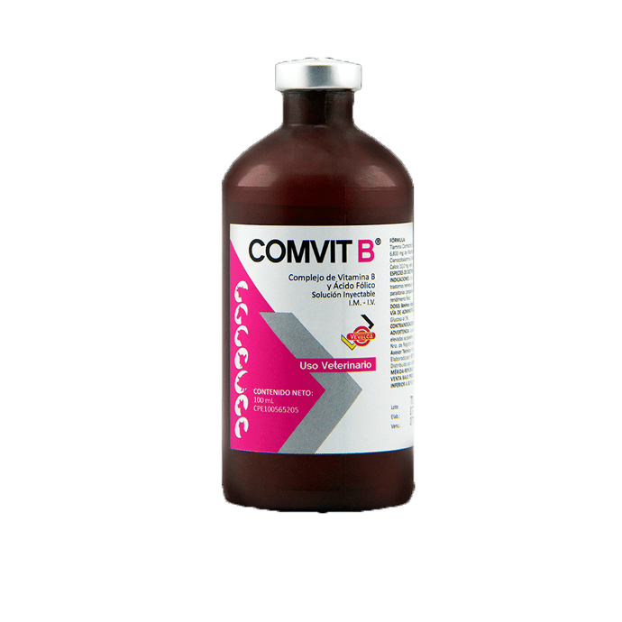 COMVIT B INY 100 ML