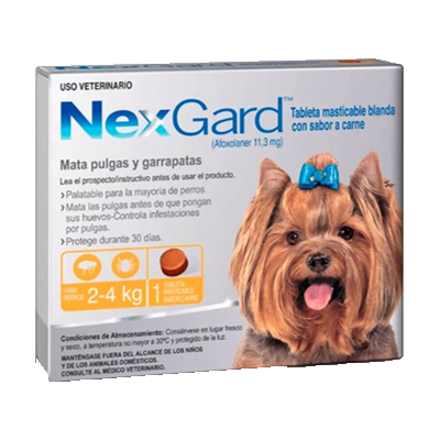 NEXGARD 2-4 KG